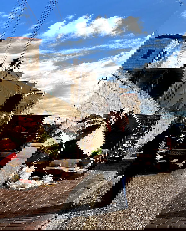 shanikaneko image ~ Altpins