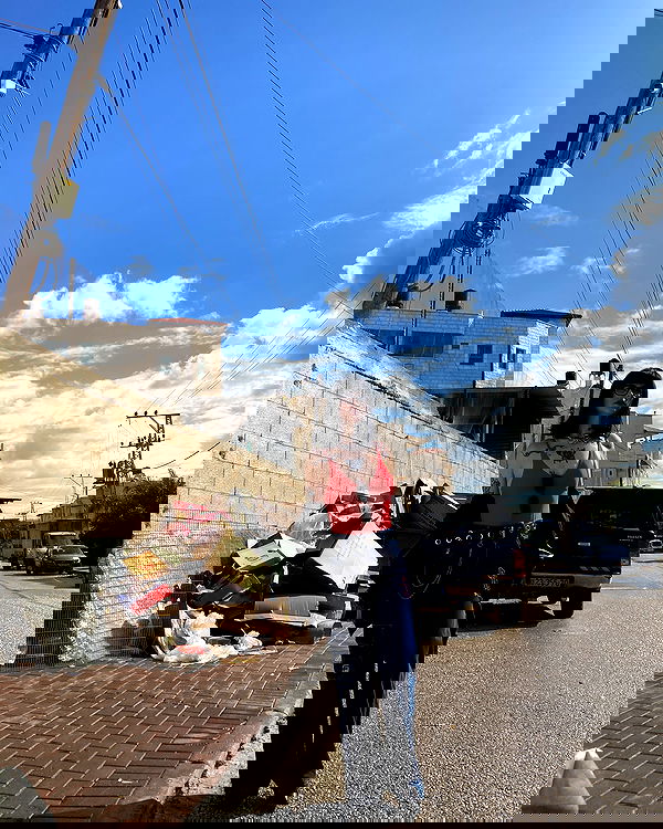 shanikaneko image ~ Altpins