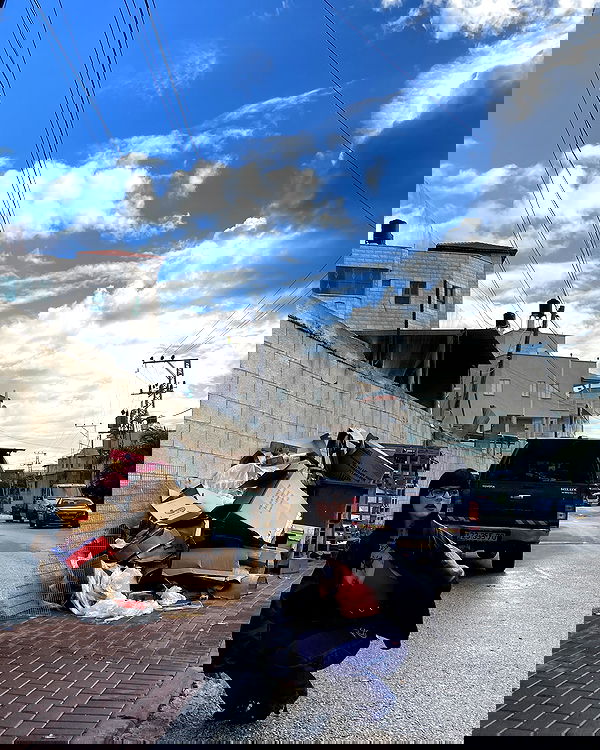 shanikaneko image ~ Altpins