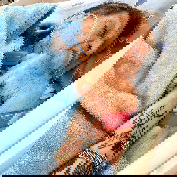 shanikaneko image ~ Altpins