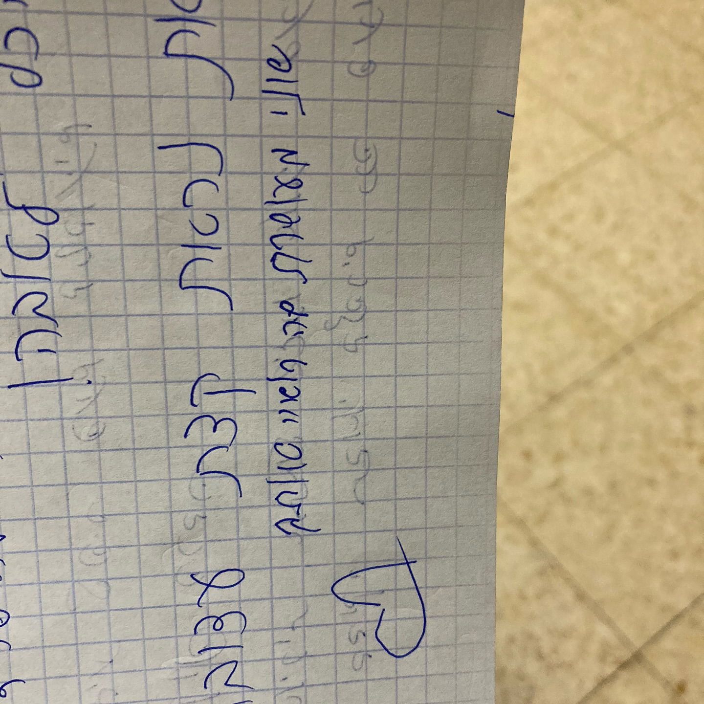 shanikaneko instagram image archive image