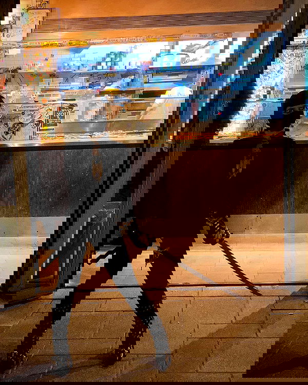 shanikaneko image ~ Altpins