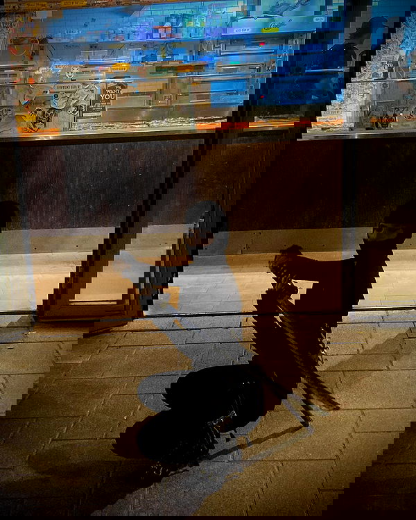 shanikaneko image ~ Altpins