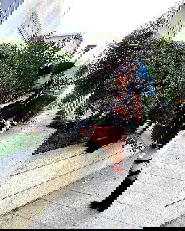 shanikaneko image ~ Altpins