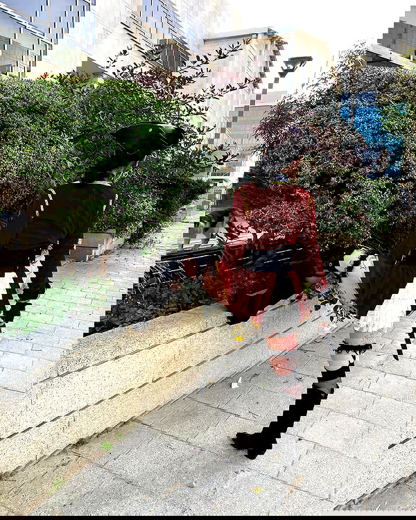 shanikaneko image ~ Altpins