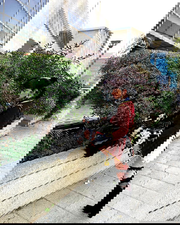 shanikaneko image ~ Altpins