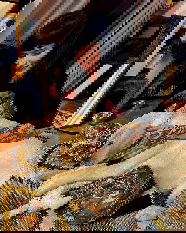 shanikaneko image ~ Altpins