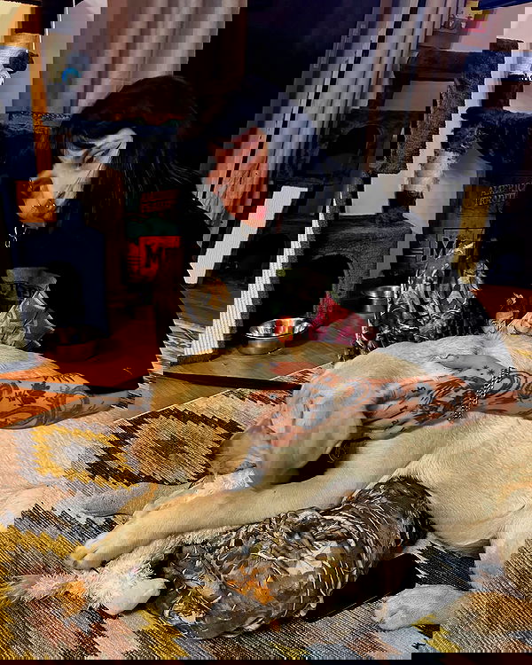 shanikaneko image ~ Altpins