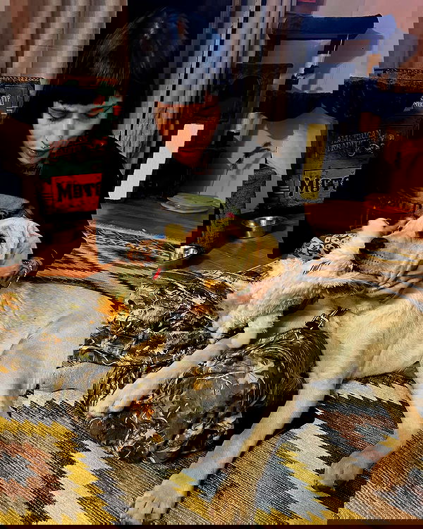 shanikaneko image ~ Altpins