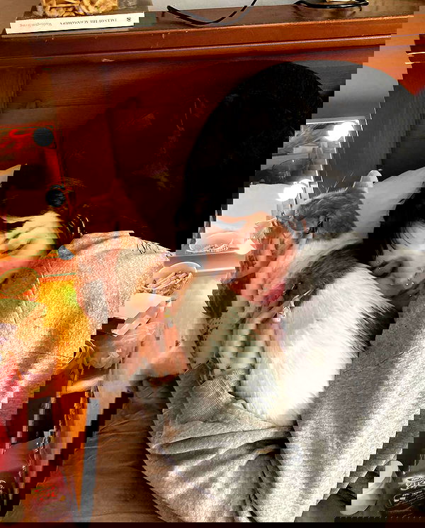 shanikaneko image ~ Altpins