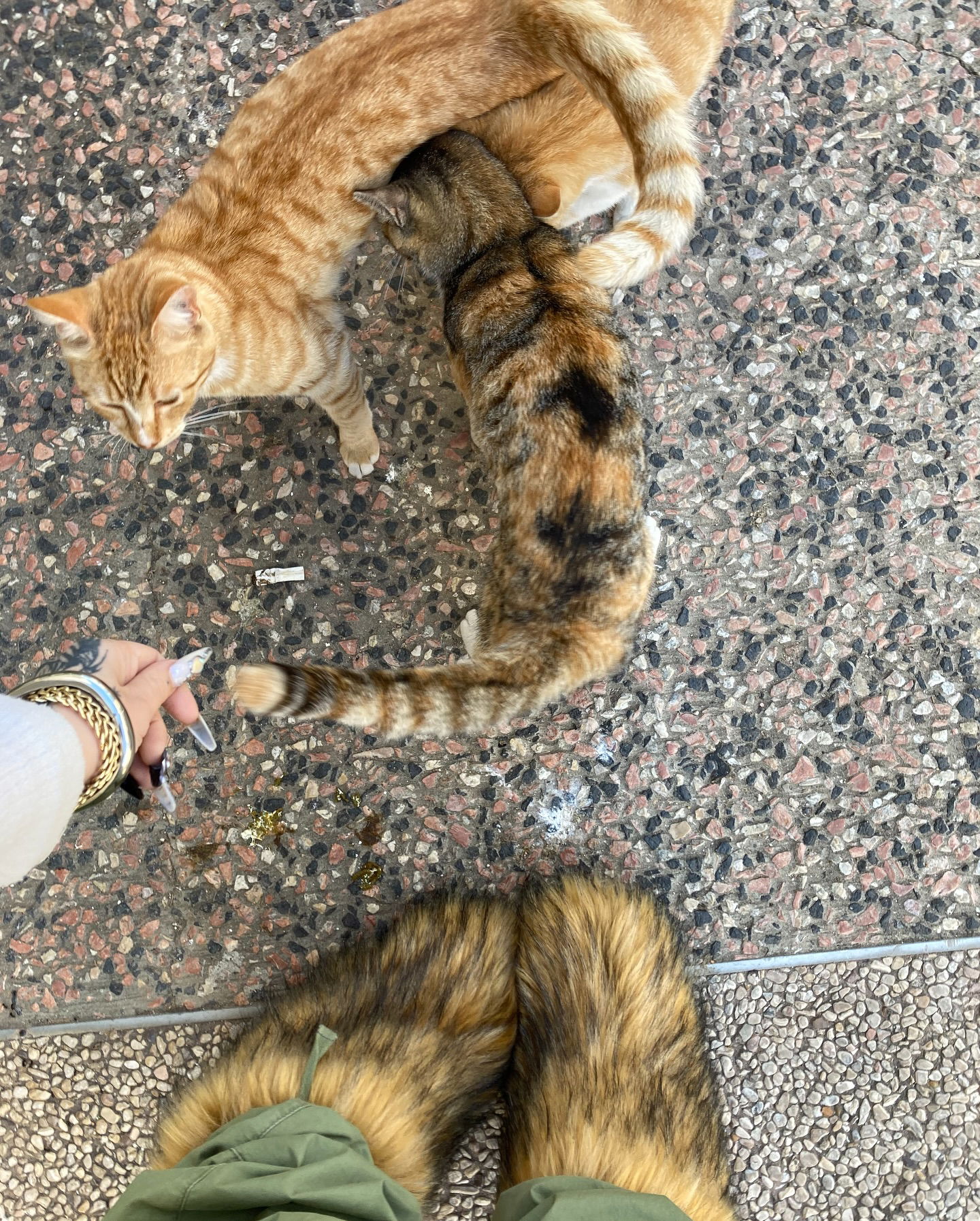 shanikaneko instagram image archive image