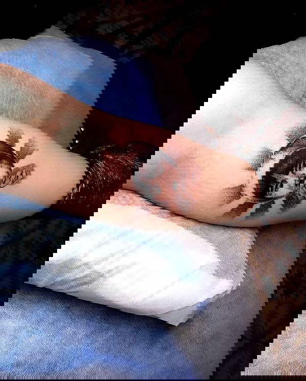 shanikaneko image ~ Altpins