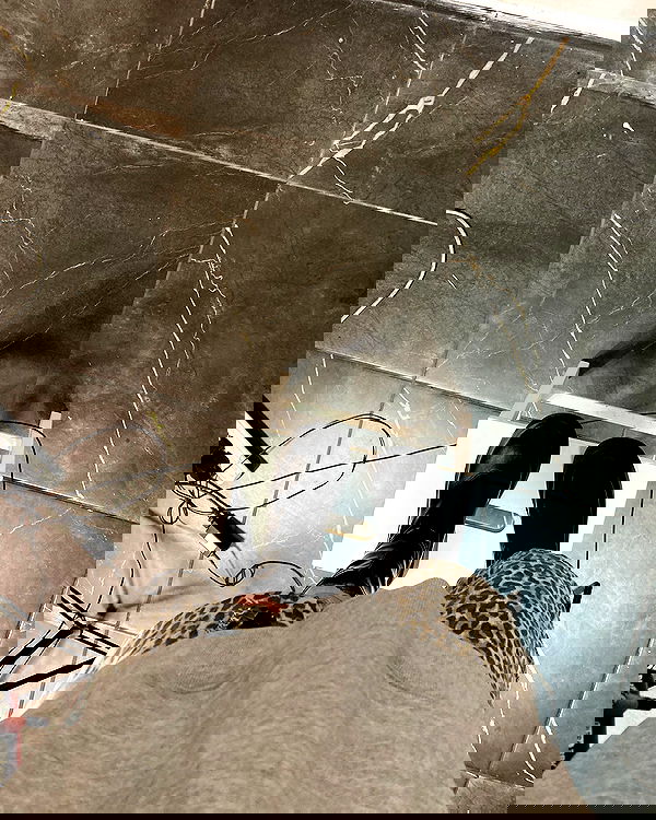 shanikaneko image ~ Altpins