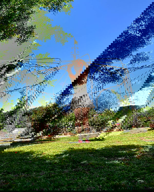 shanikaneko image ~ Altpins