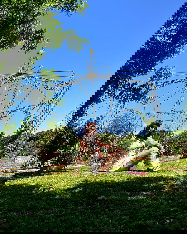 shanikaneko image ~ Altpins