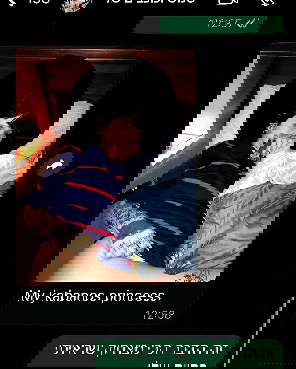 shanikaneko image ~ Altpins