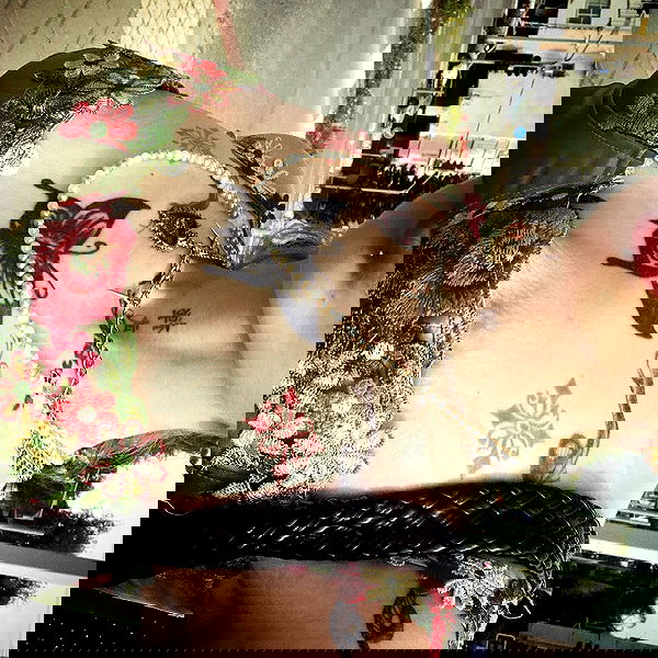 shanikaneko image ~ Altpins