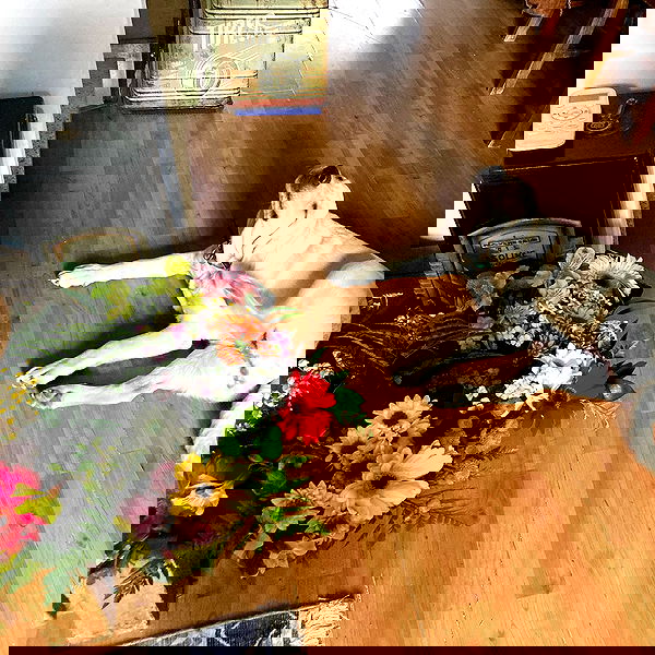 shanikaneko image ~ Altpins