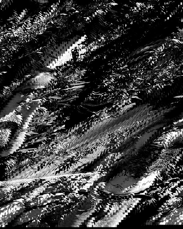 shanikaneko image ~ Altpins