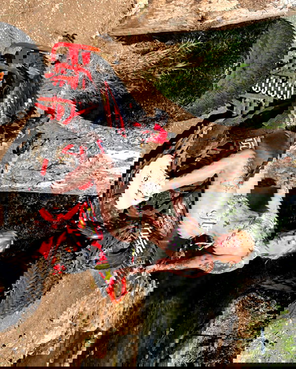 shanikaneko image ~ Altpins