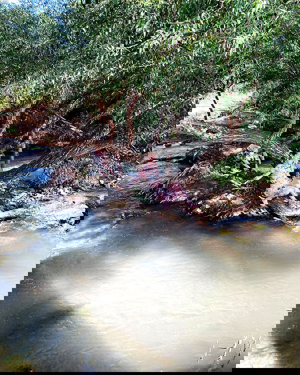 shanikaneko image ~ Altpins