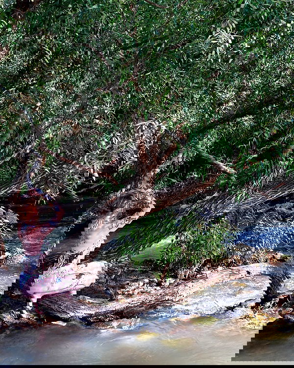 shanikaneko image ~ Altpins