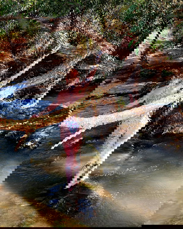 shanikaneko image ~ Altpins