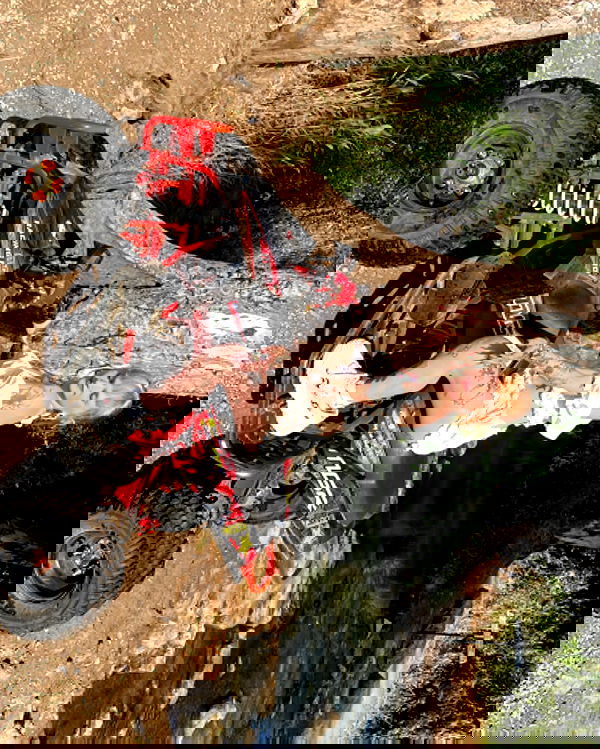 shanikaneko image ~ Altpins