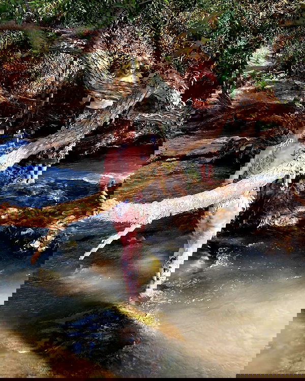 shanikaneko image ~ Altpins