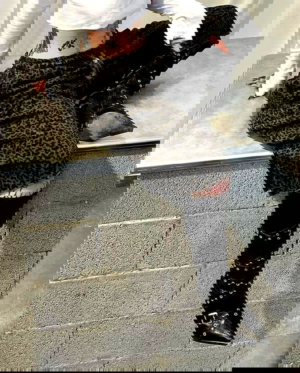 shanikaneko image ~ Altpins