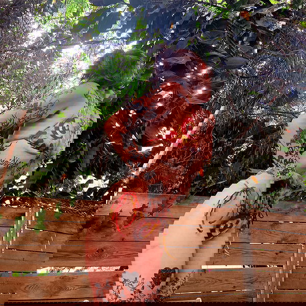 shanikaneko image ~ Altpins