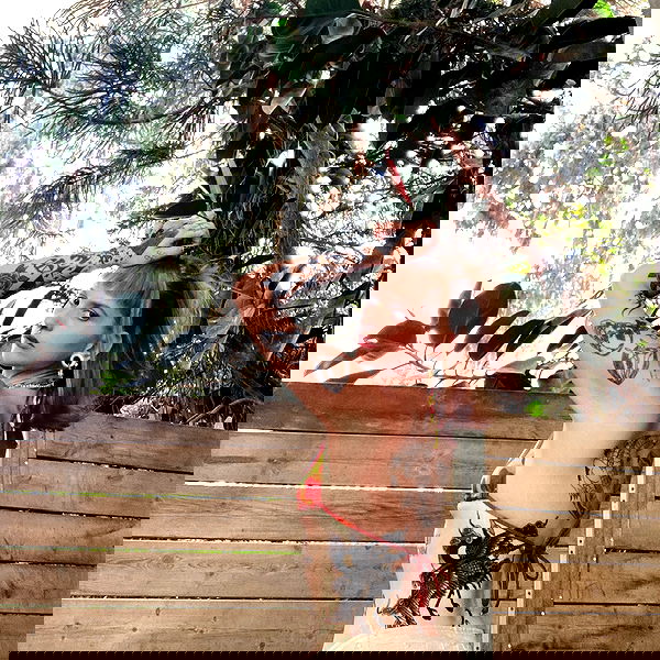 shanikaneko image ~ Altpins