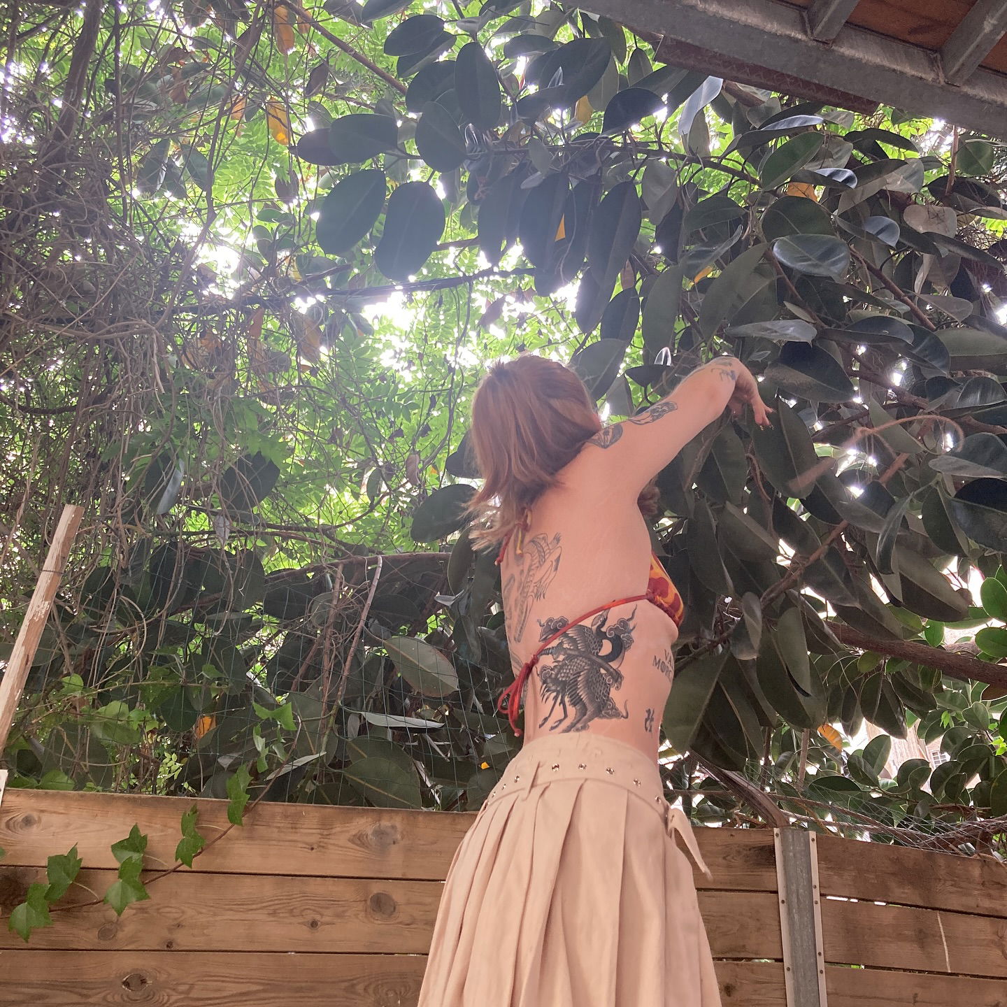 shanikaneko instagram image archive image