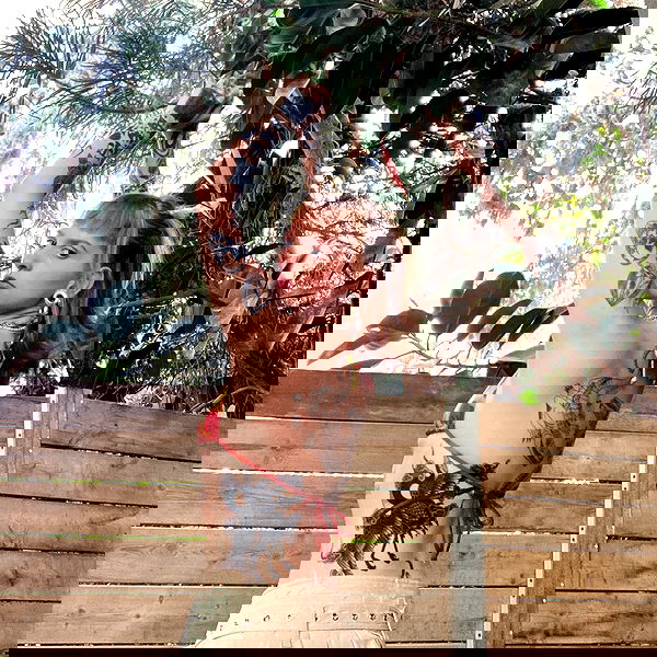 shanikaneko image ~ Altpins