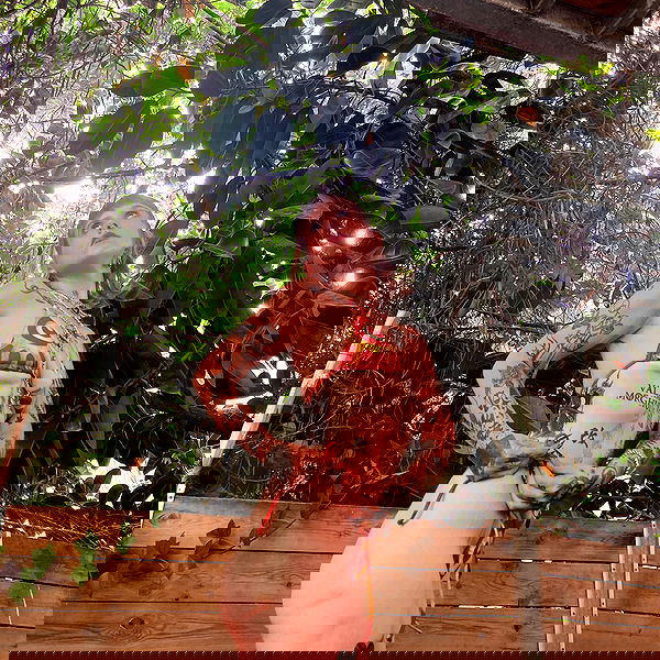 shanikaneko image ~ Altpins