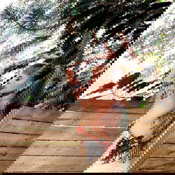 shanikaneko image ~ Altpins