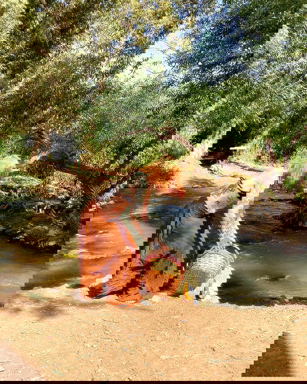 shanikaneko image ~ Altpins