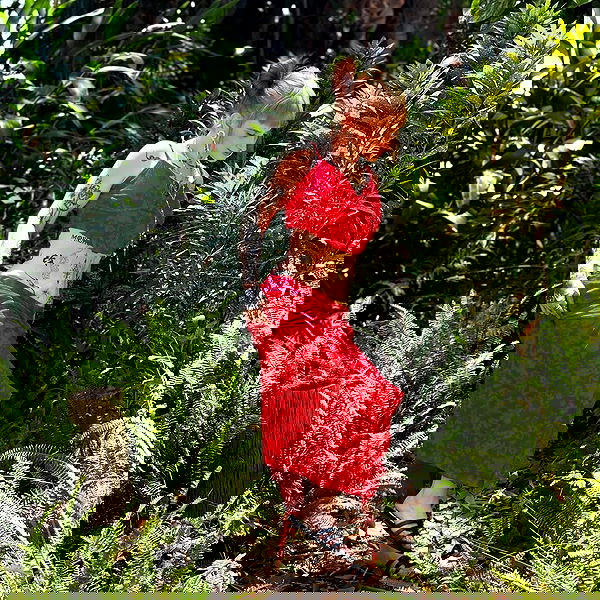 shanikaneko image ~ Altpins