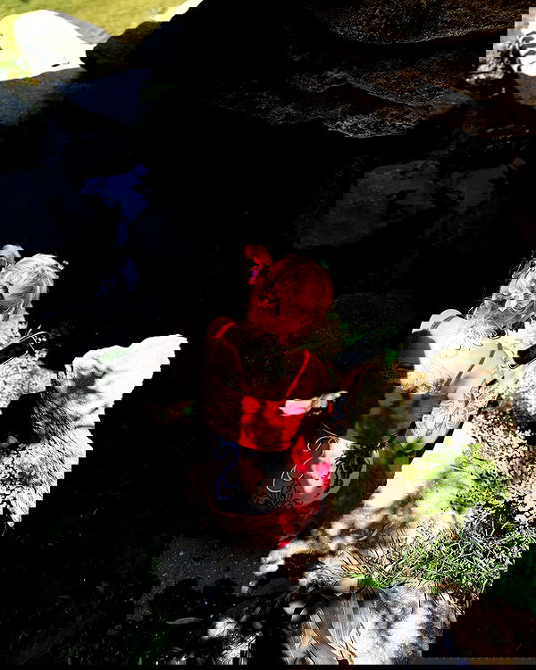 shanikaneko image ~ Altpins