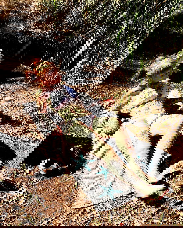 shanikaneko image ~ Altpins