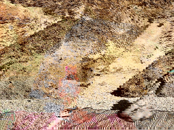 shanikaneko image ~ Altpins