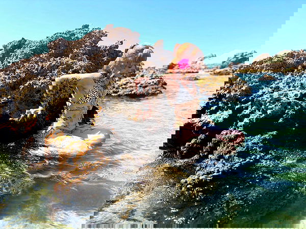 shanikaneko image ~ Altpins