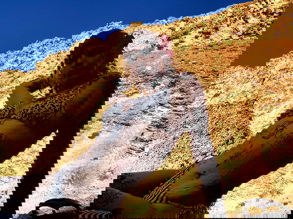 shanikaneko image ~ Altpins