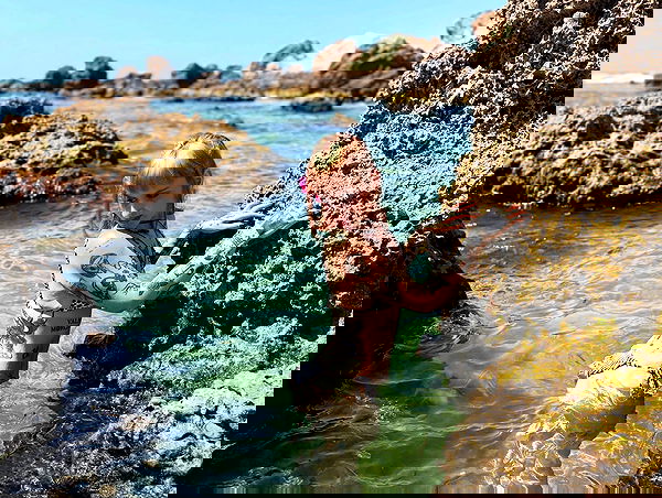 shanikaneko image ~ Altpins