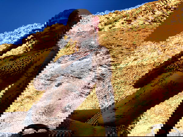 shanikaneko image ~ Altpins