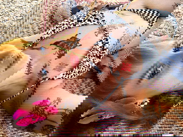 shanikaneko image ~ Altpins