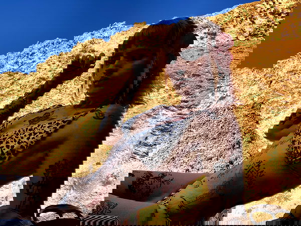 shanikaneko image ~ Altpins