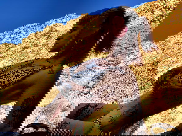 shanikaneko image ~ Altpins