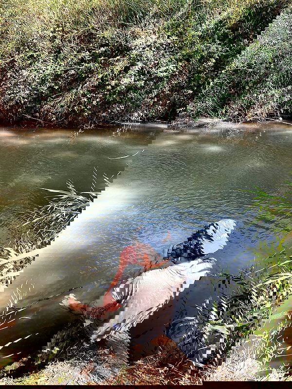 shanikaneko image ~ Altpins