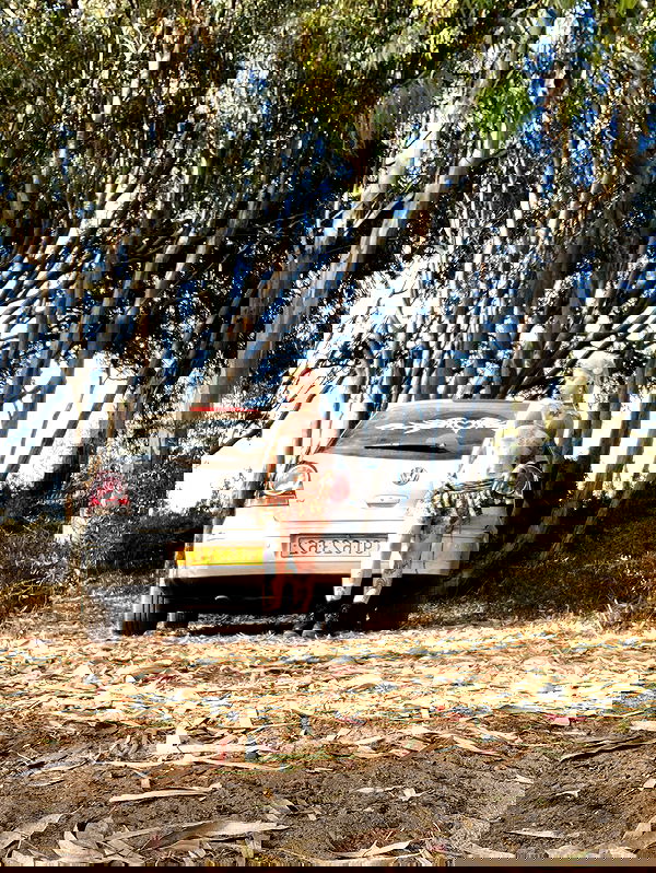 shanikaneko image ~ Altpins